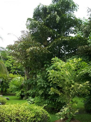104_7358.jpg